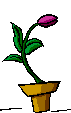 AG00402_02